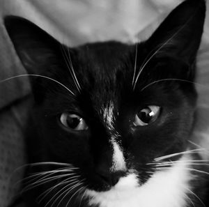 Meet your Posher, Kevin